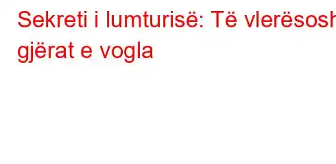 Sekreti i lumturisë: Të vlerësosh gjërat e vogla