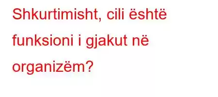 Shkurtimisht, cili është funksioni i gjakut në organizëm?