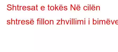 Shtresat e tokës Në cilën shtresë fillon zhvillimi i bimëve?