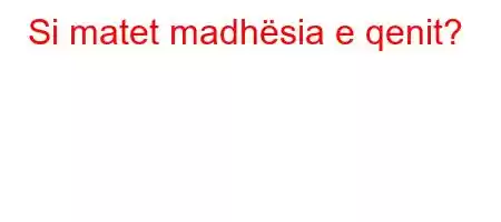 Si matet madhësia e qenit