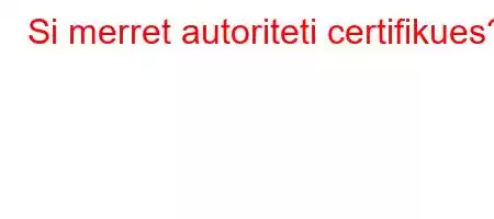 Si merret autoriteti certifikues