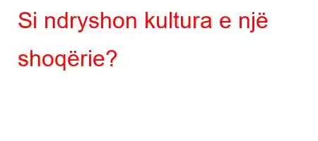 Si ndryshon kultura e një shoqërie?