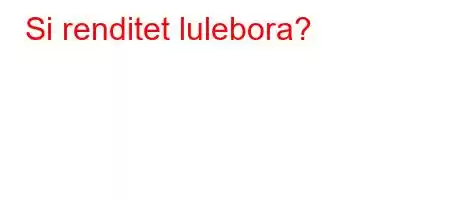 Si renditet lulebora