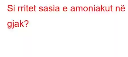 Si rritet sasia e amoniakut në gjak?