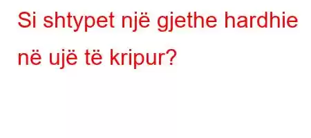 Si shtypet një gjethe hardhie në ujë të kripur