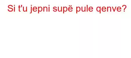 Si t'u jepni supë pule qenve