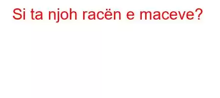 Si ta njoh racën e maceve