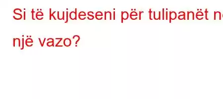 Si të kujdeseni për tulipanët në një vazo?