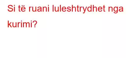 Si të ruani luleshtrydhet nga kurimi?