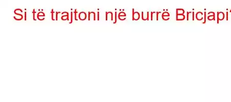 Si të trajtoni një burrë Bricjapi?