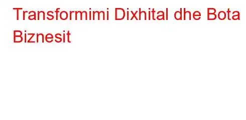 Transformimi Dixhital dhe Bota e Biznesit